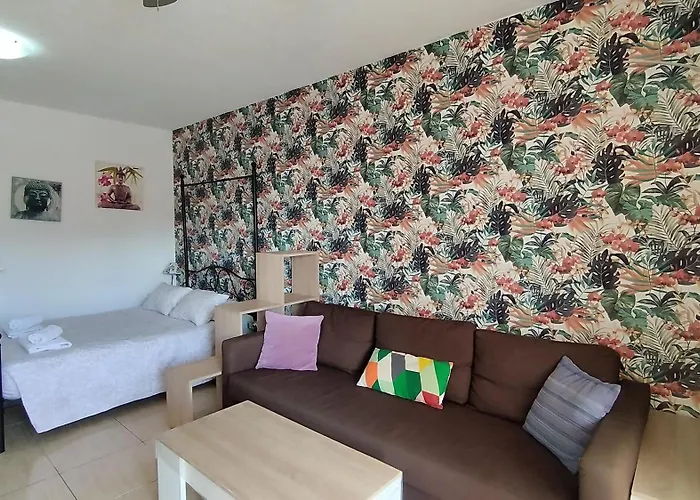 Carolina Apartment